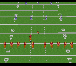 Emmitt Smith Football (USA) In game screenshot